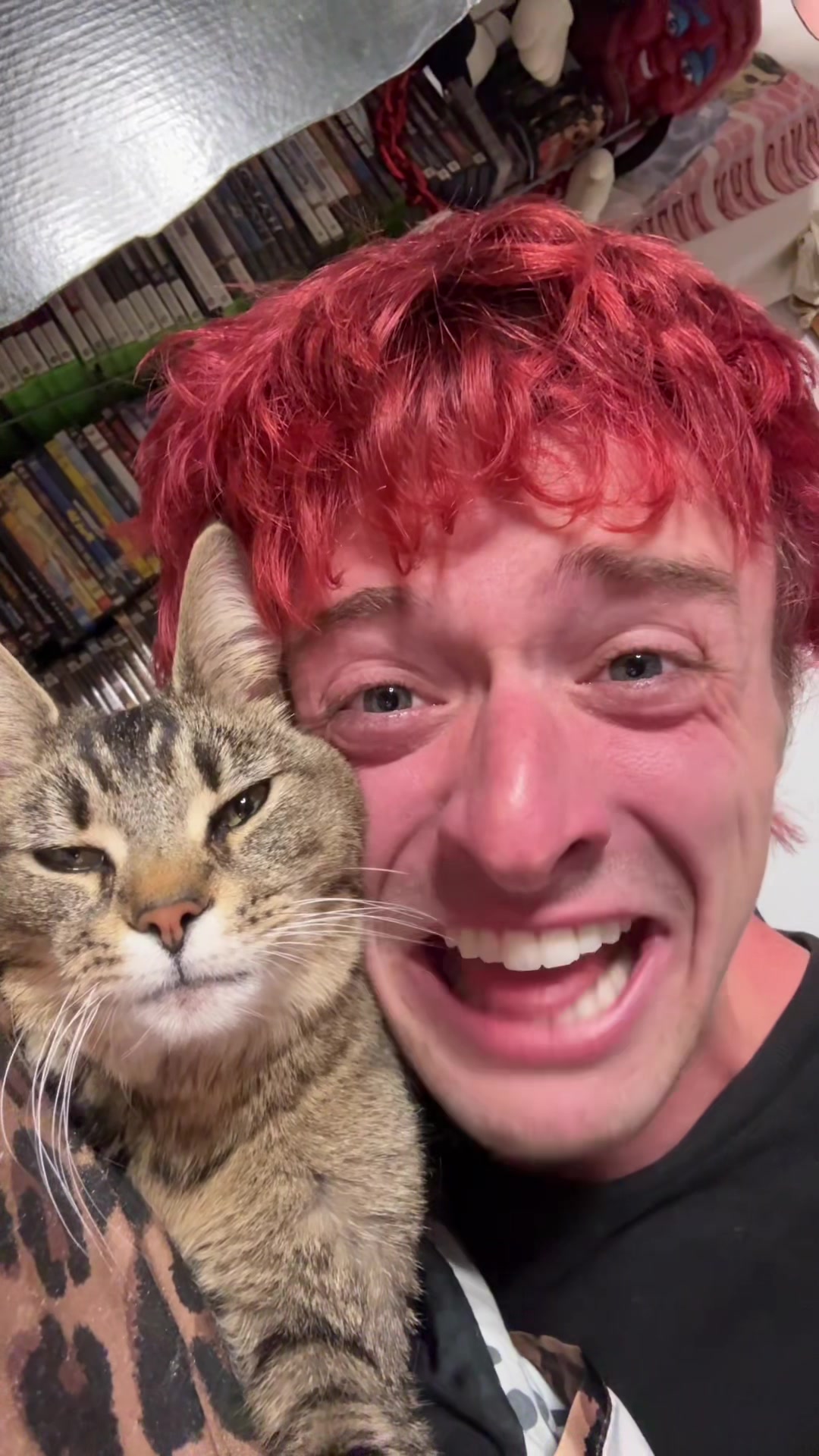 @Grungycatdad