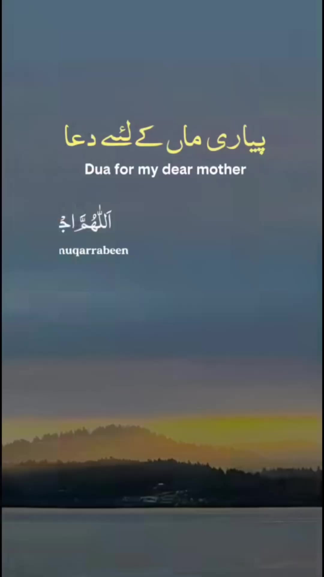 @humza nawab
