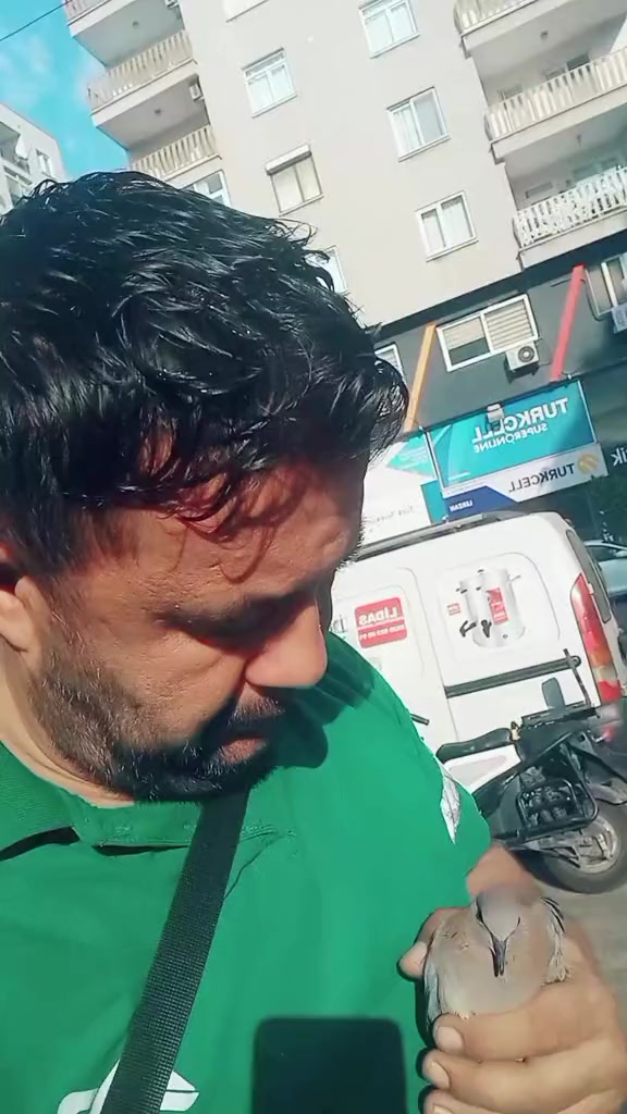@𝐇𝐚𝐥𝐢𝐥 𝟑𝟑