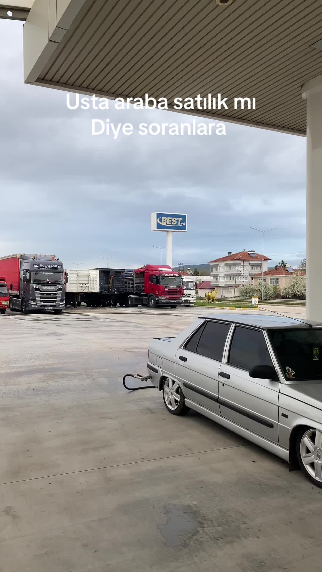 @Şuayip &Ccedil;am