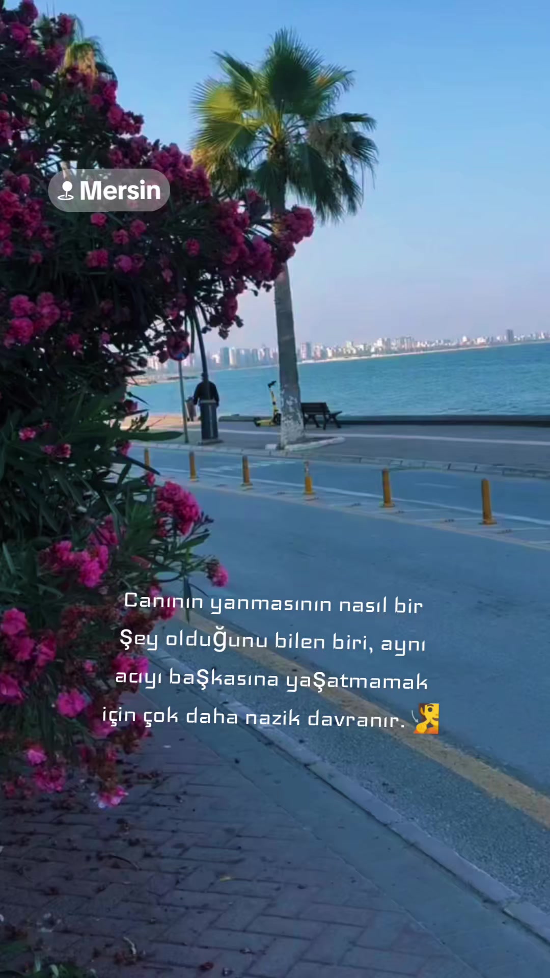 @tc.&ccedil;erkeskızı