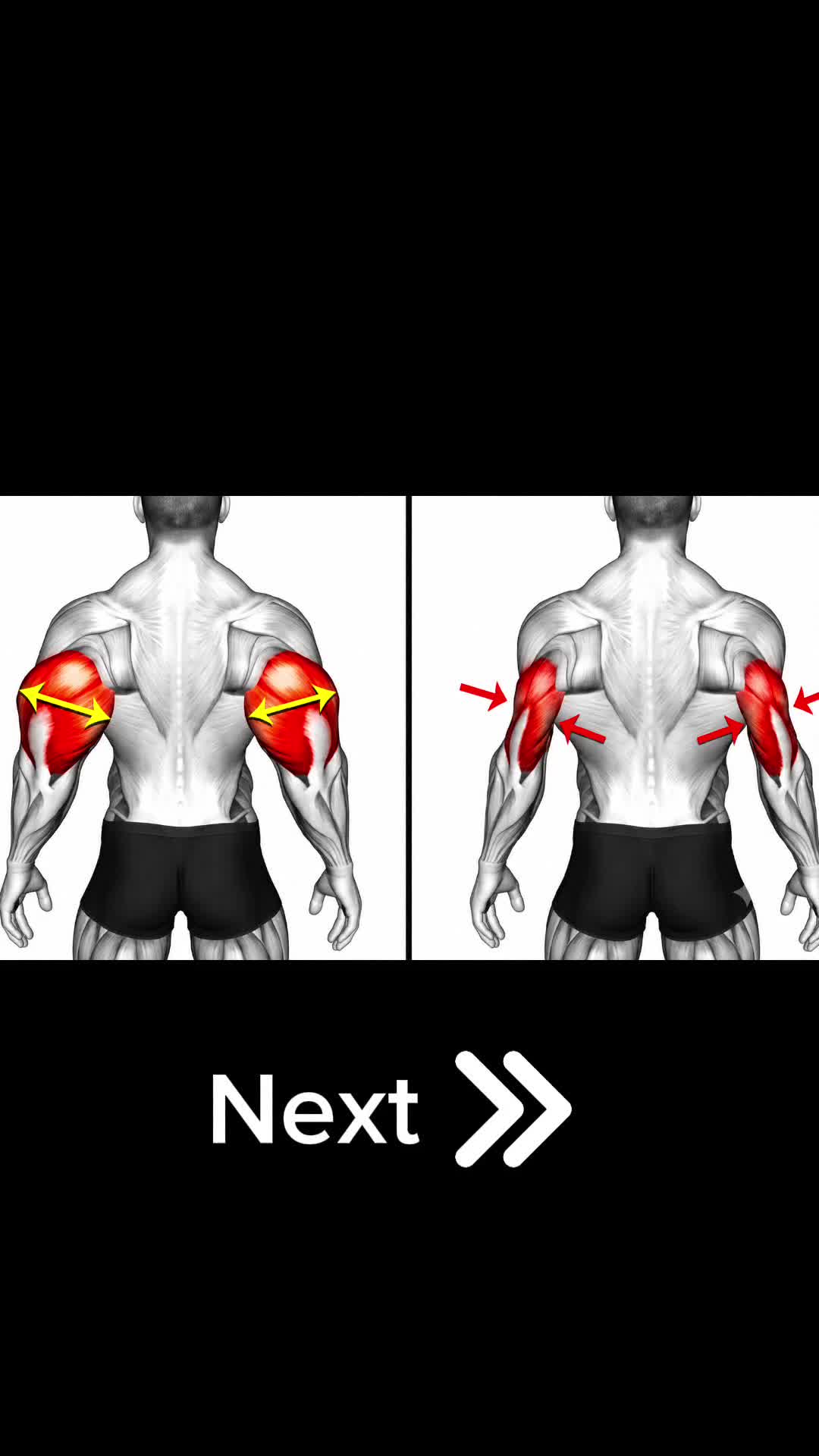 @Mendy Fitness