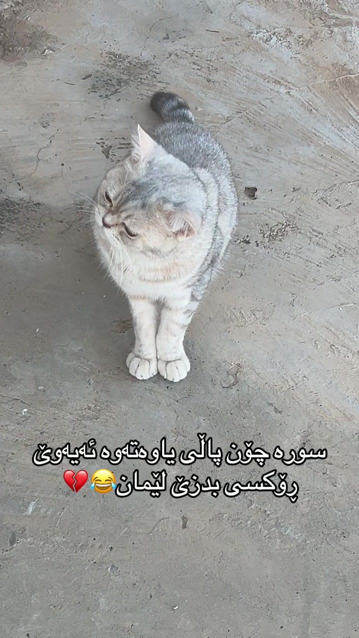 @R&rsquo;&rsquo;🌞♾️