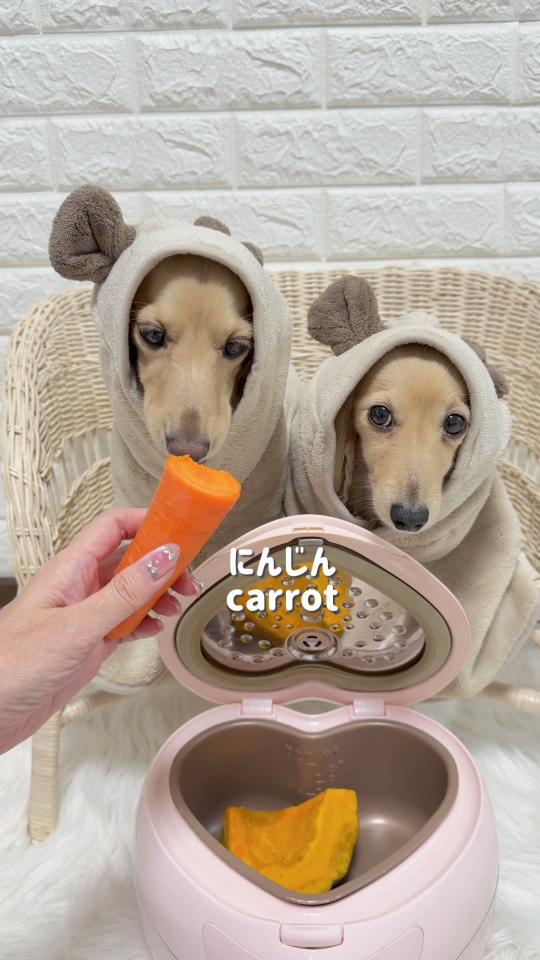 @ðããããªãŸã
ð
