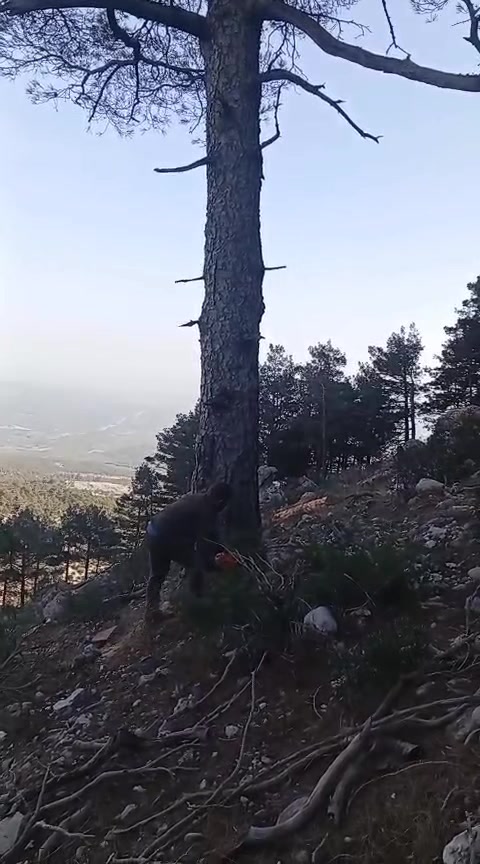 @ibrahim odabaş