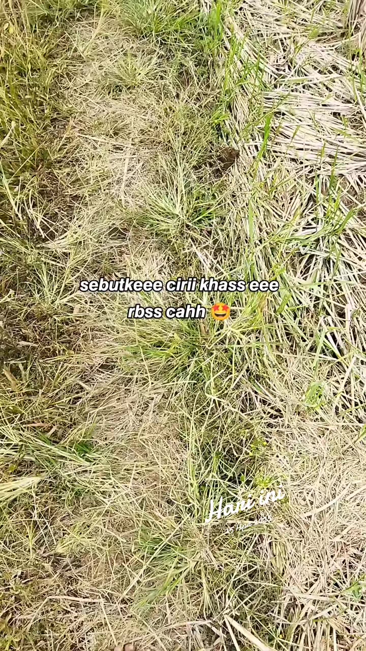 @𝐑𝐁𝐒𝐒 𝐂𝐎𝐌𝐔𝐍𝐈𝐓𝐘🍁