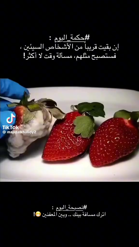@مسك الختام