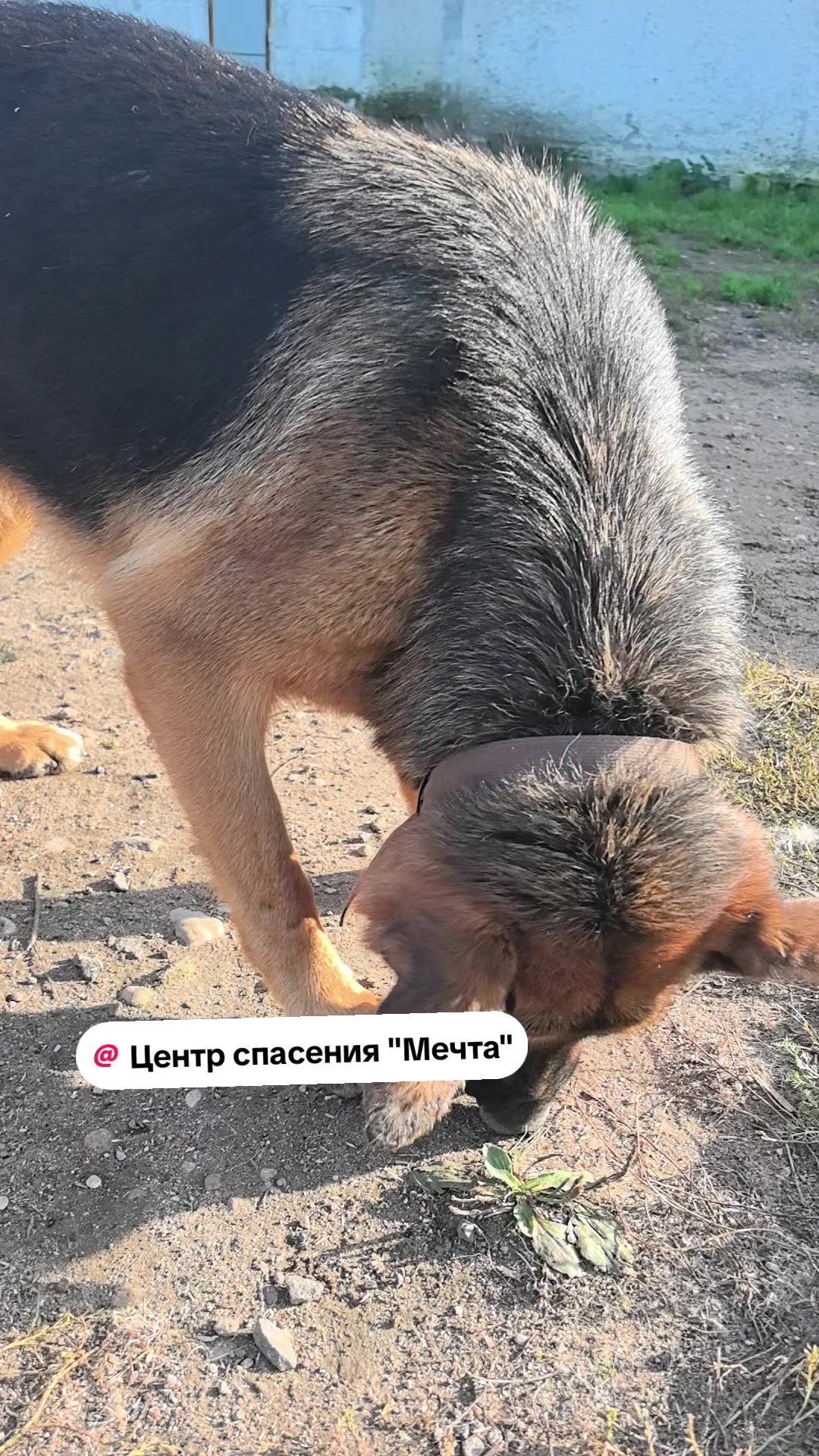 @Слава