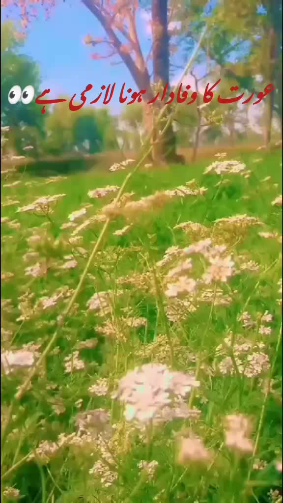@𝗷𝗮𝗵𝗮𝗶𝗻𝗴𝗶𝗿 𝗲𝗱𝗶𝘁𝗲r
