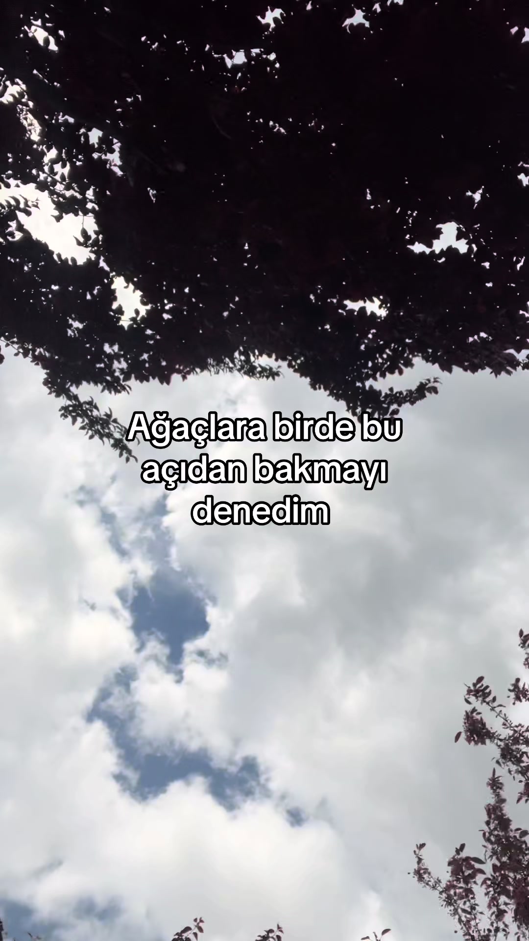 @Yasemin 👙🌸✨