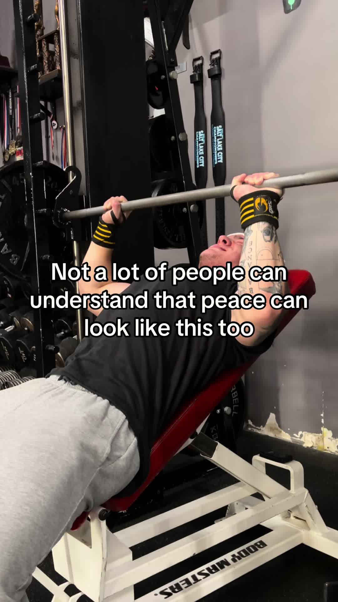 @AlexVanBfit2.0