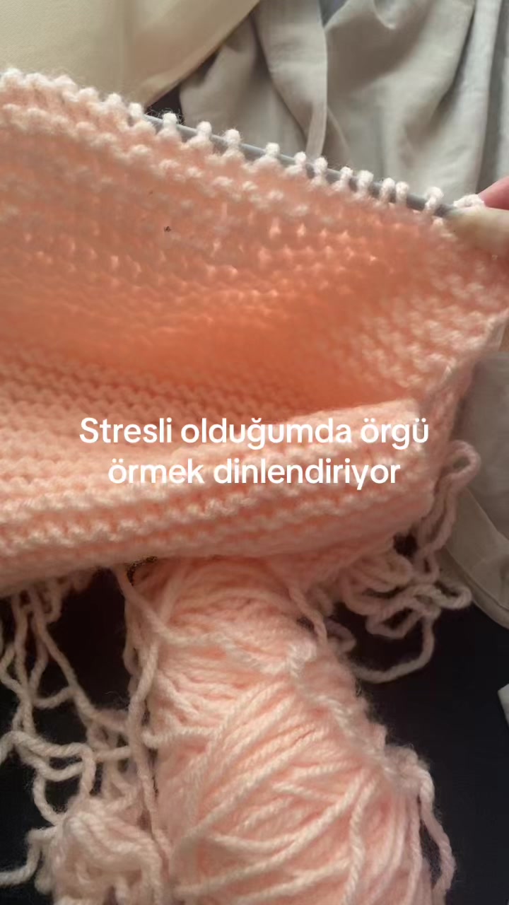 @lidyamai