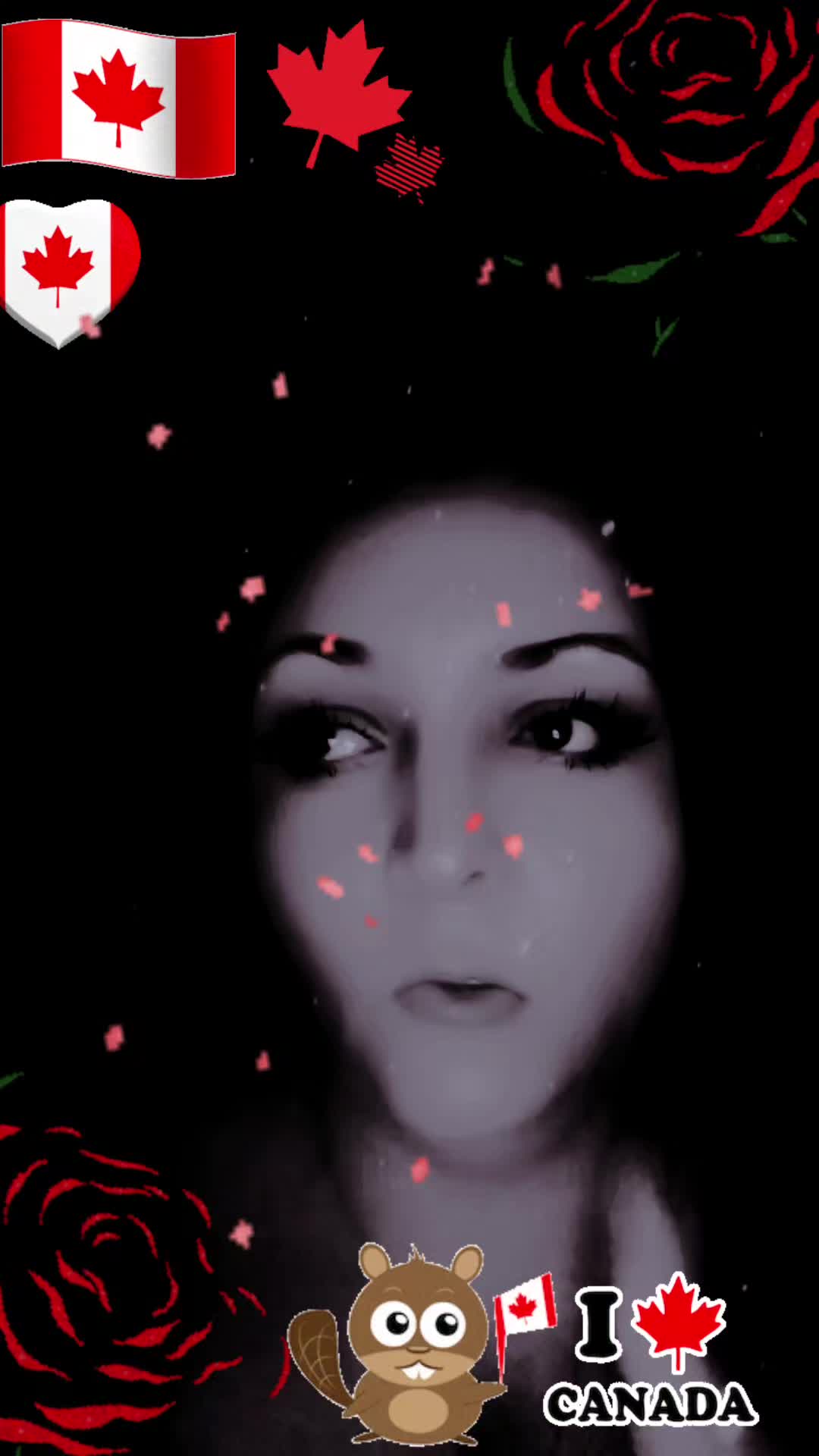 @KimCroft🧸🌹💙🎸🐋🐬🦋😈👻☘️🔥