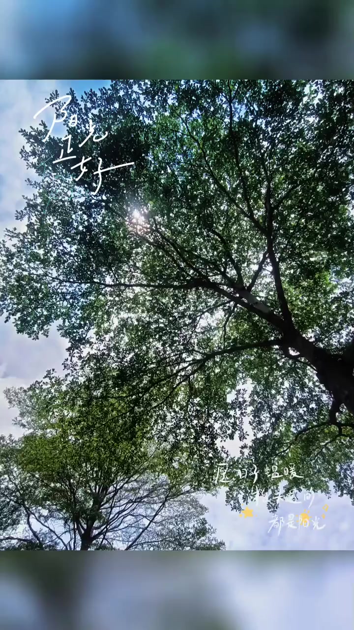 @浮生若夢