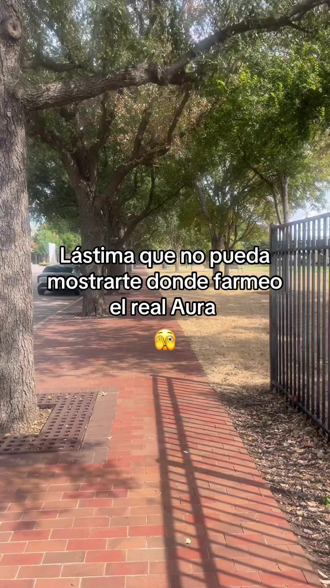 @mundito230