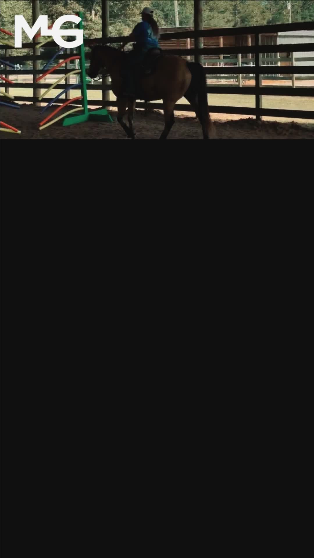 @Horse Help