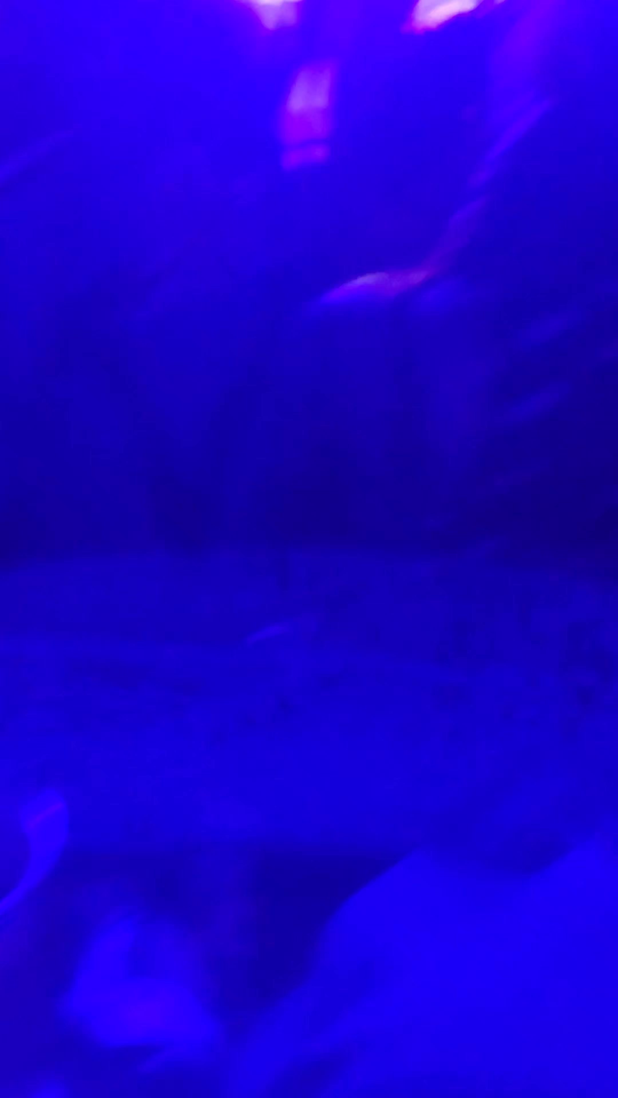 @D4UN1BOMB3R