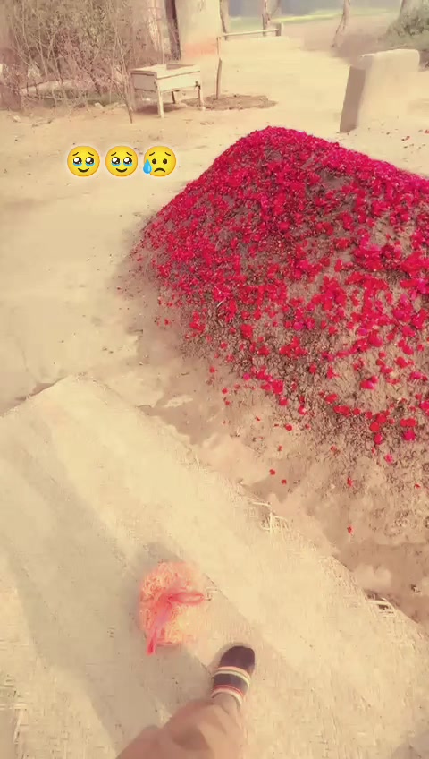 @😭12-12-2025😭