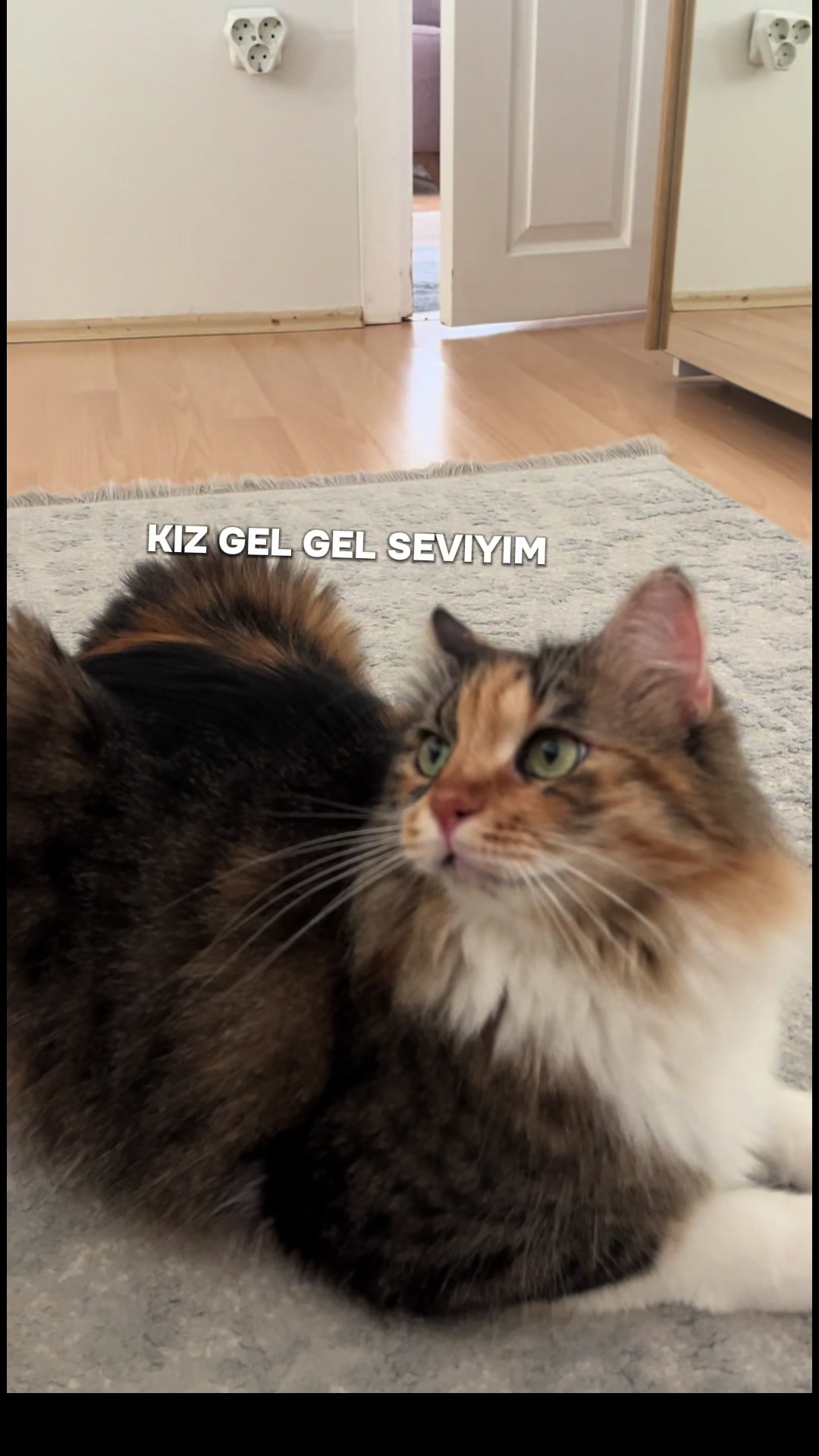 @konusankediminnos
