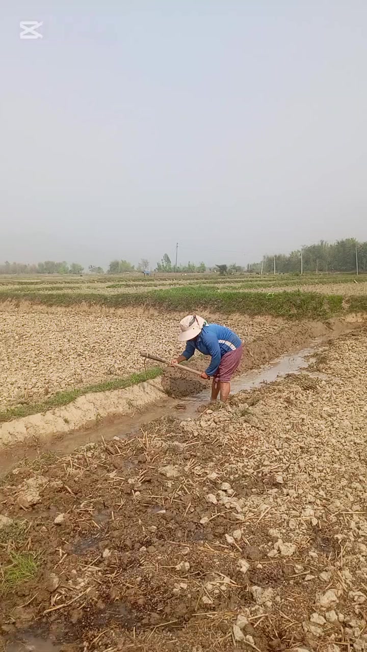 @Smita rai