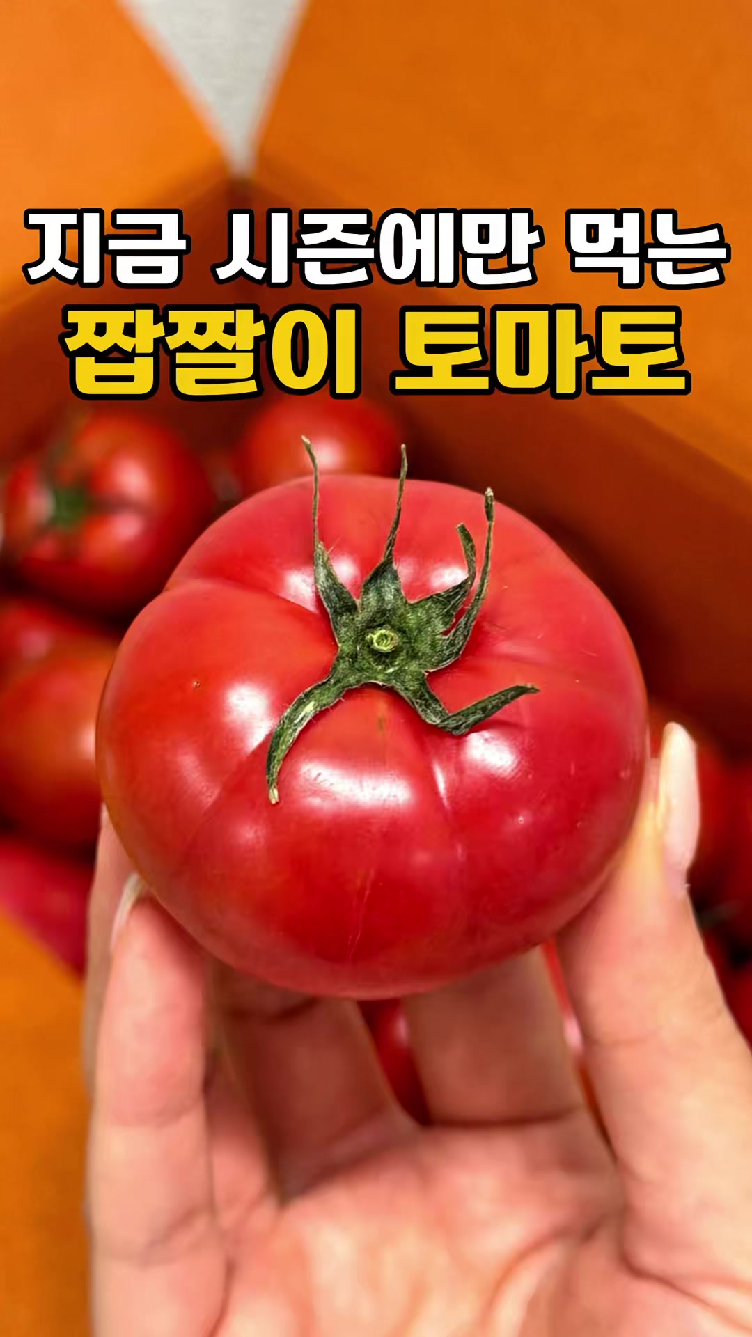 @싱싱햇 - 365일 싱싱한 햇 제철 먹거리
