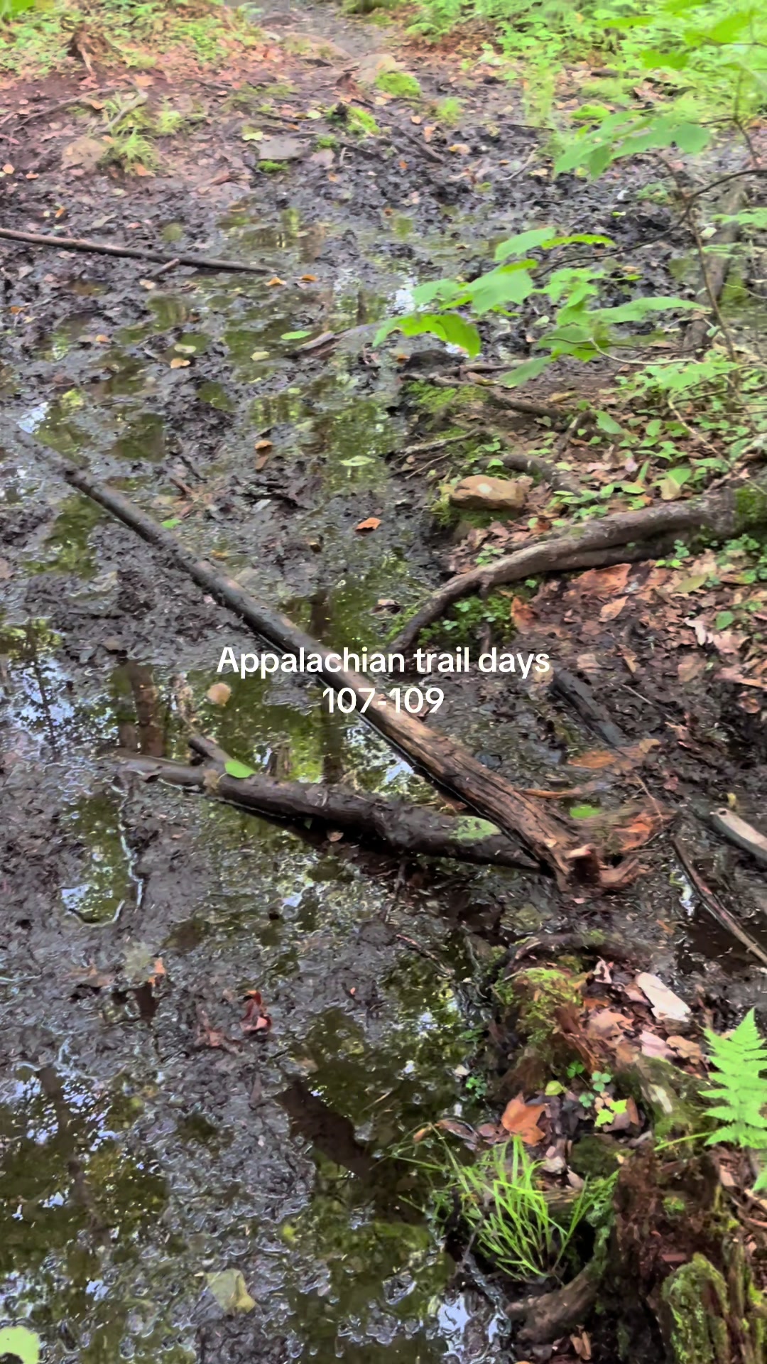 @trail bob