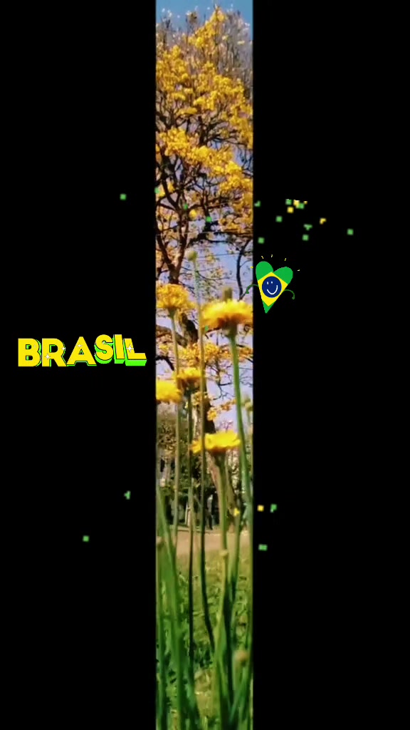 @Odete Araujo