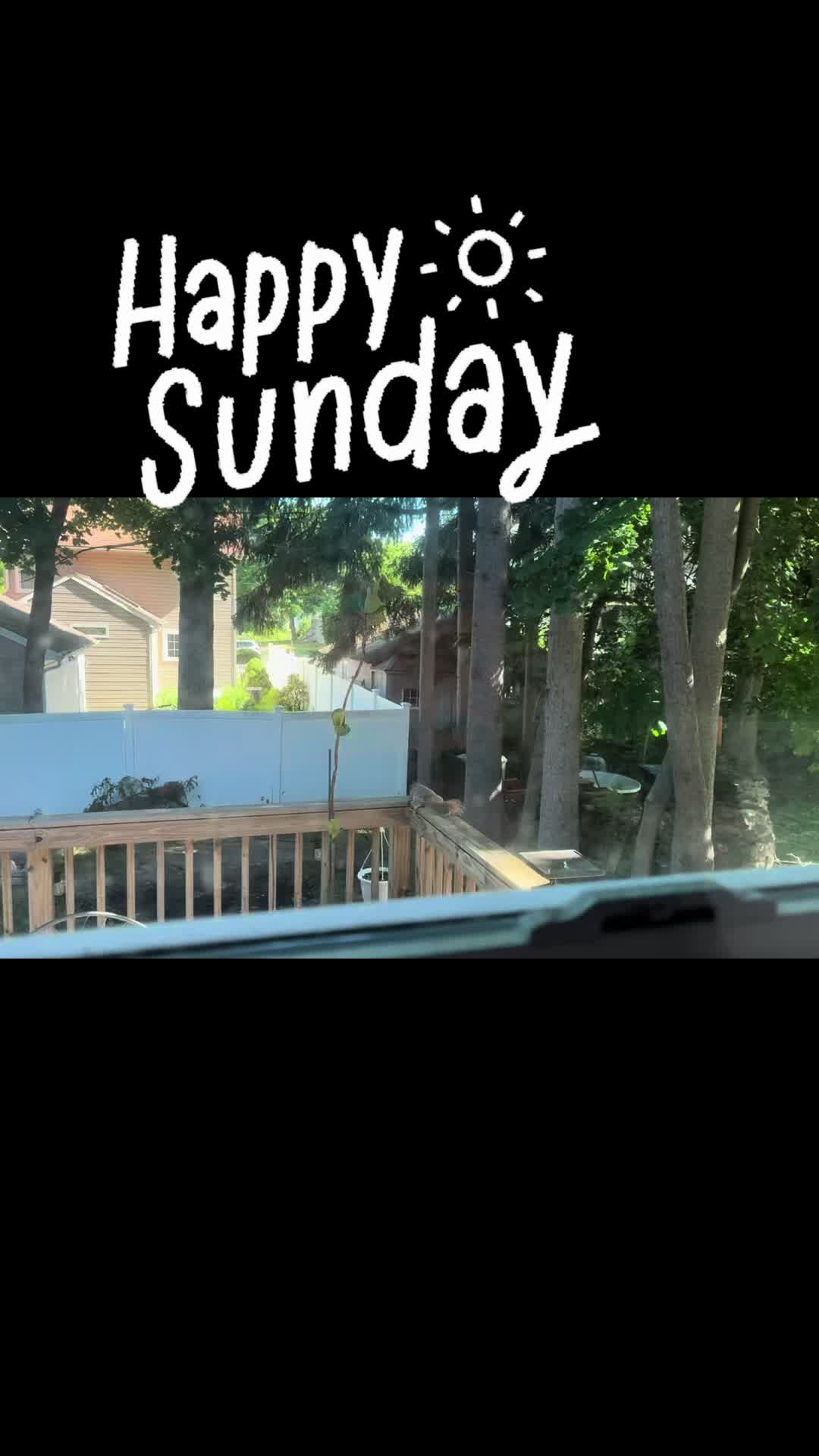 @Legalnarwhal