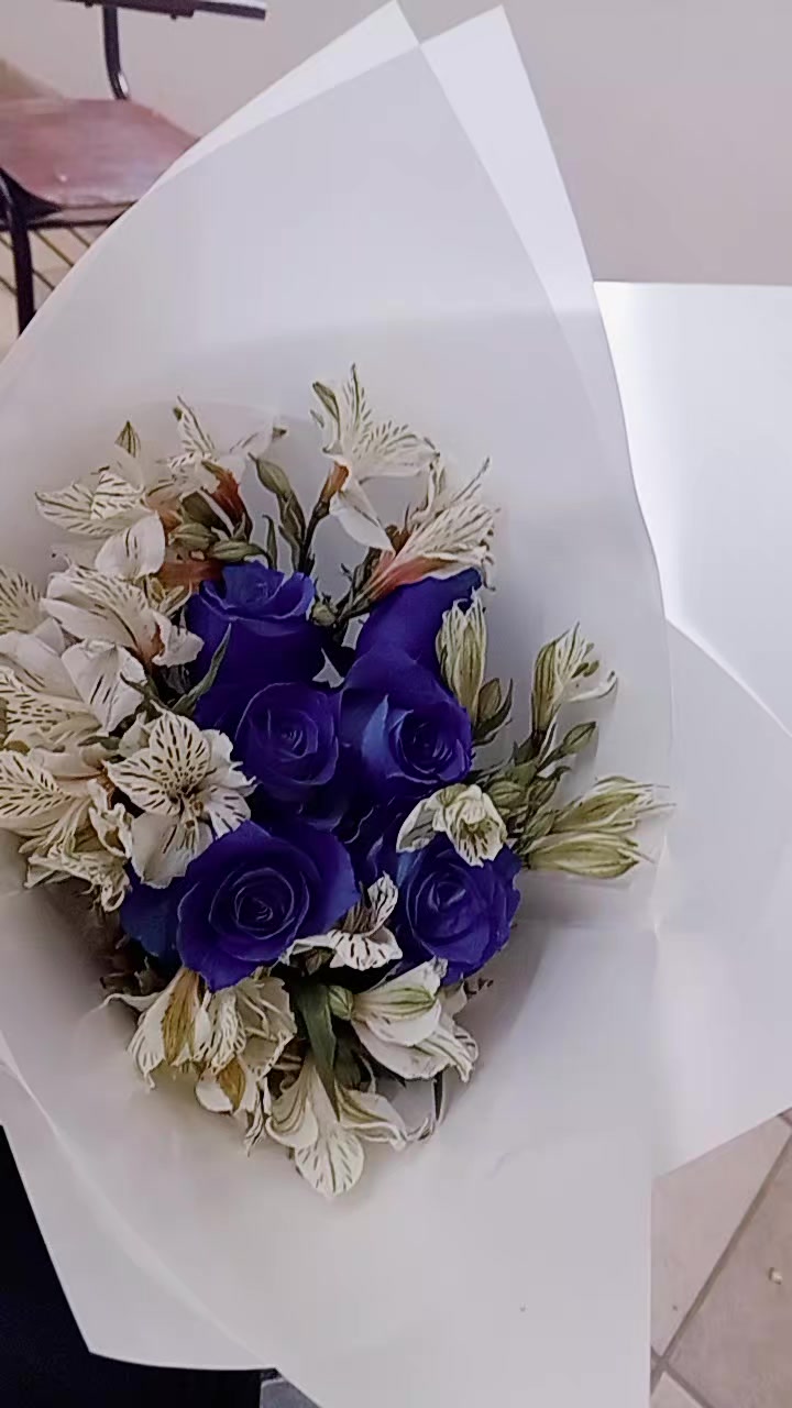 @user8751319843848