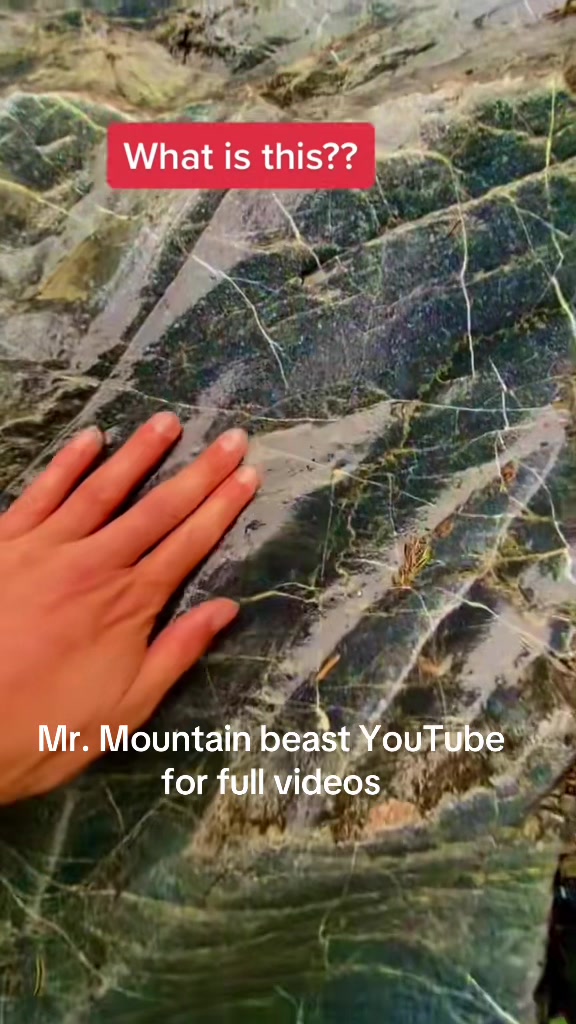 @Mr.mountainbeast