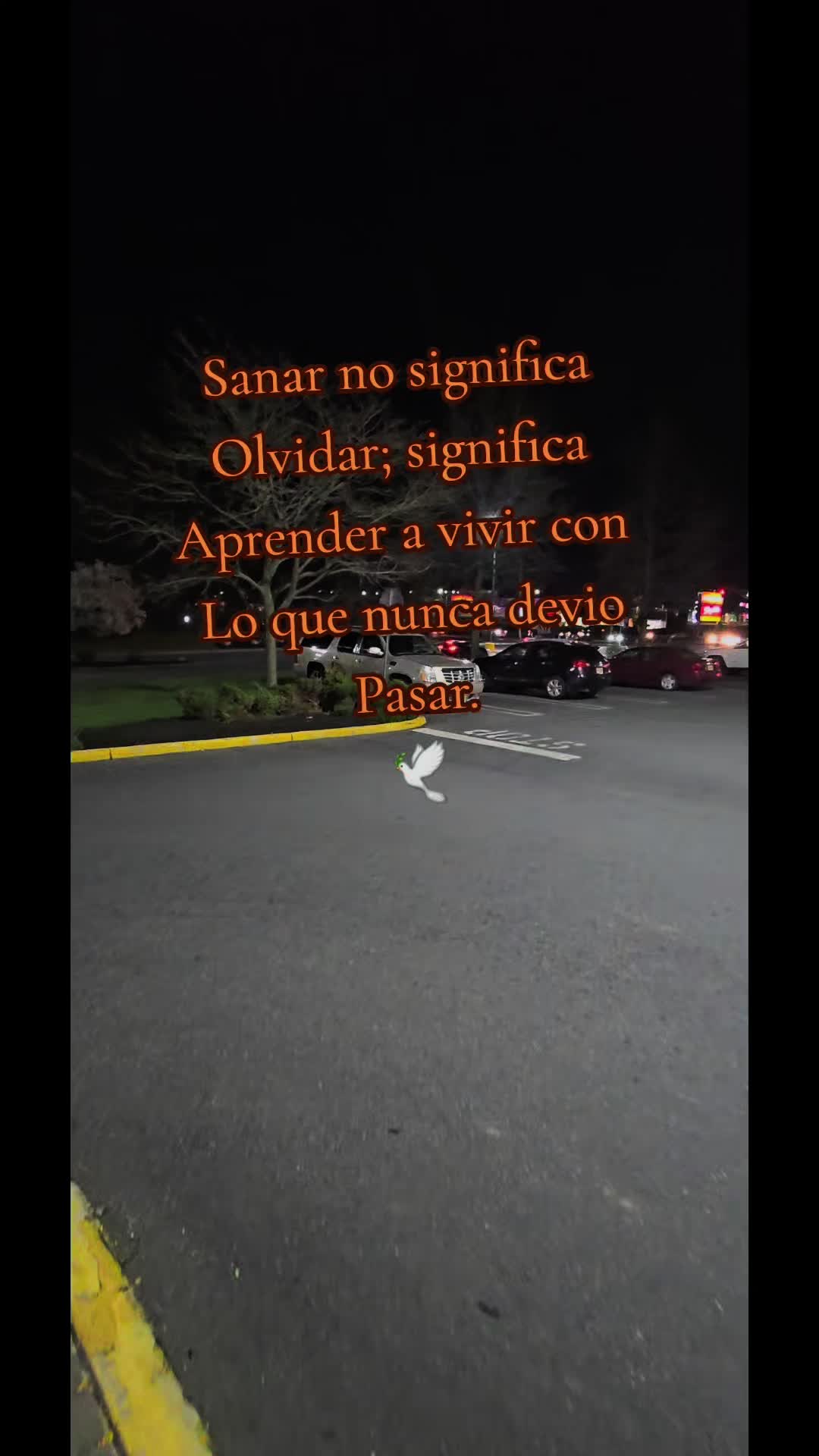 @🇲🇽Guli.Carrada 🐈&zwj;⬛