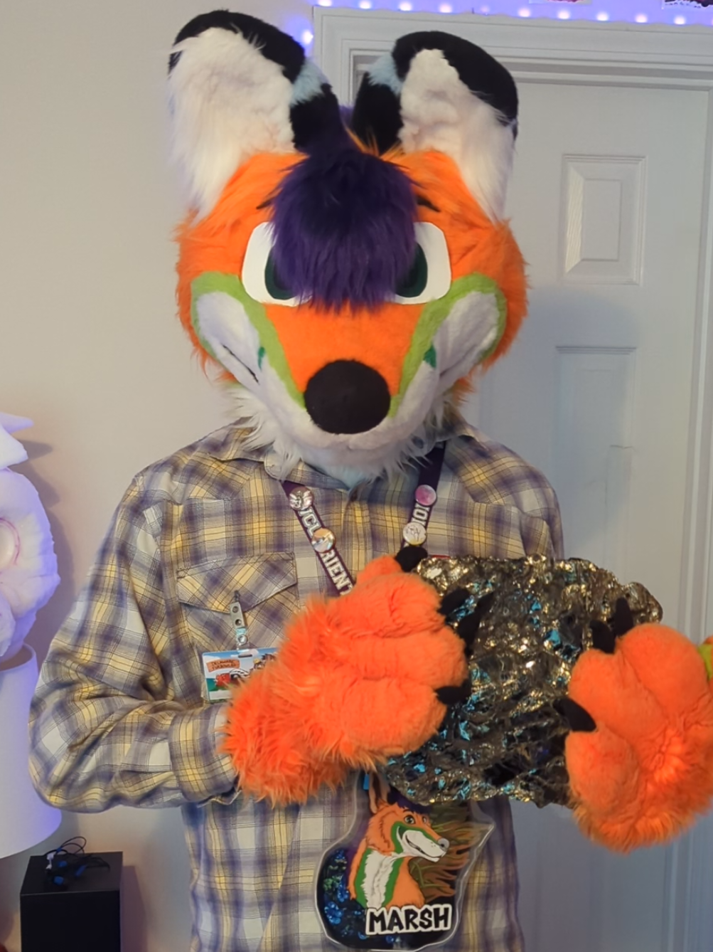 @Marsh The Fox