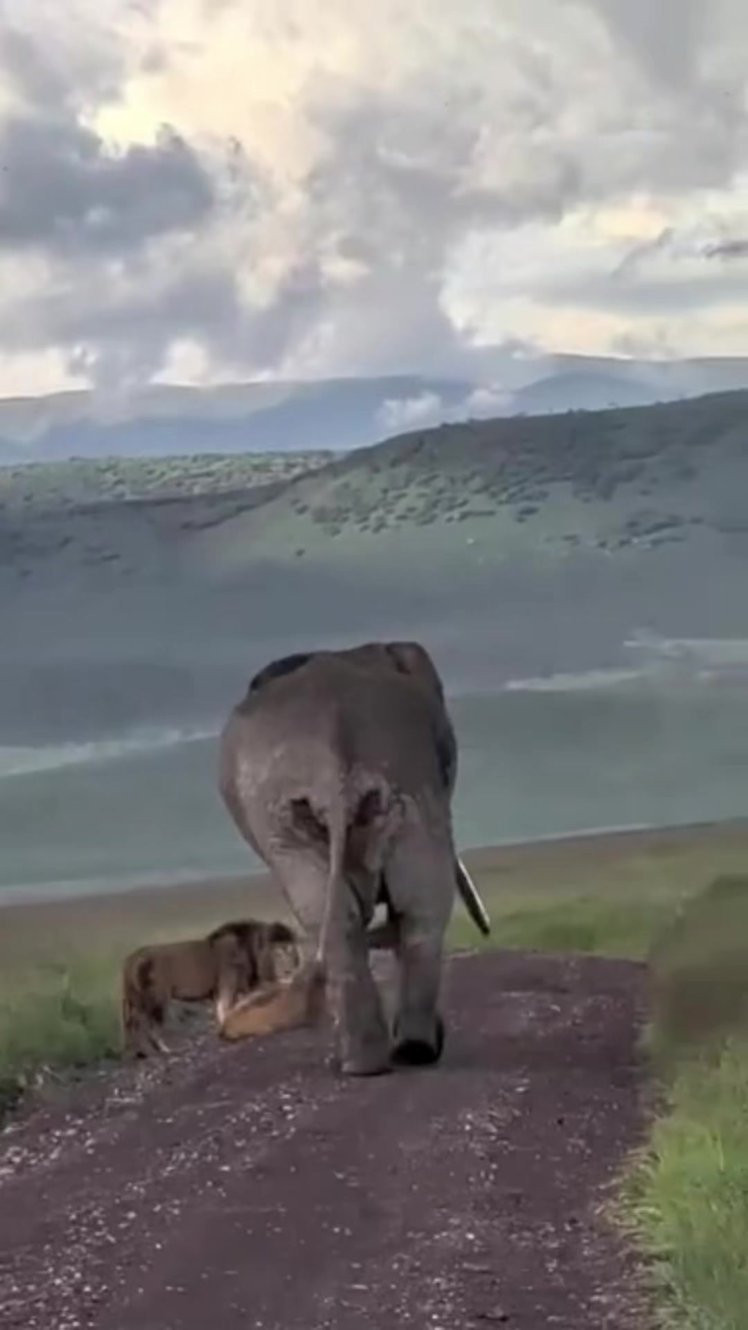 @UissoAdventuresAndSafarisLtd