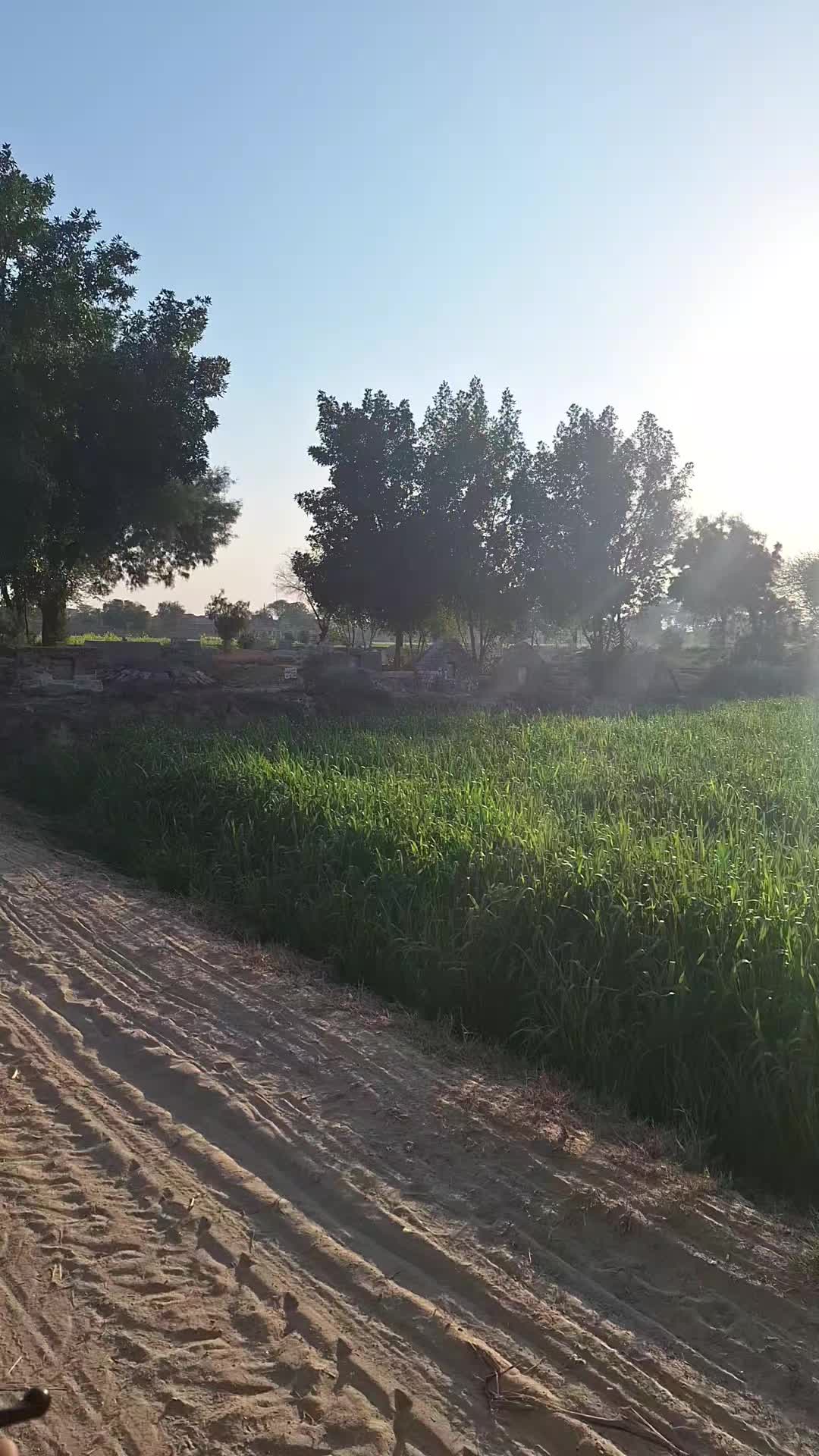 @زلیخہ🌸🦋