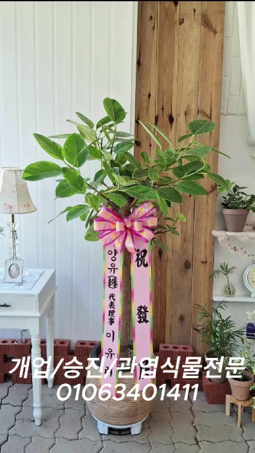 @hayaflower
