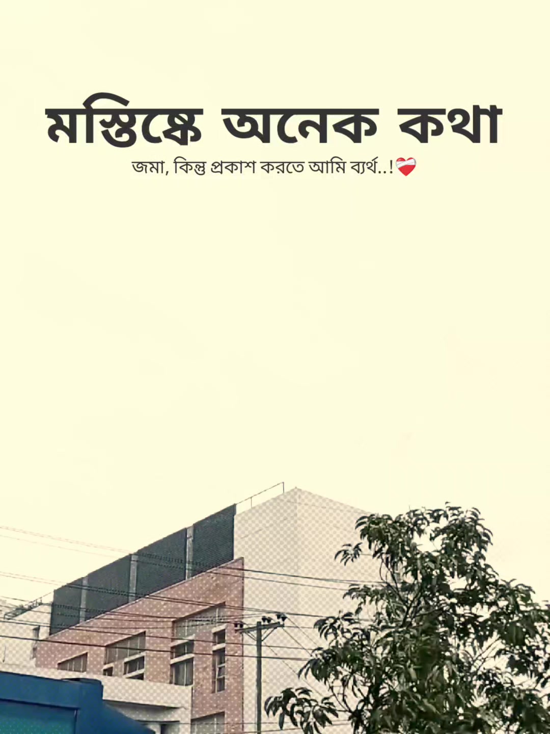 @꧁⭑শেষ পৃষ্ঠা⭑꧂
