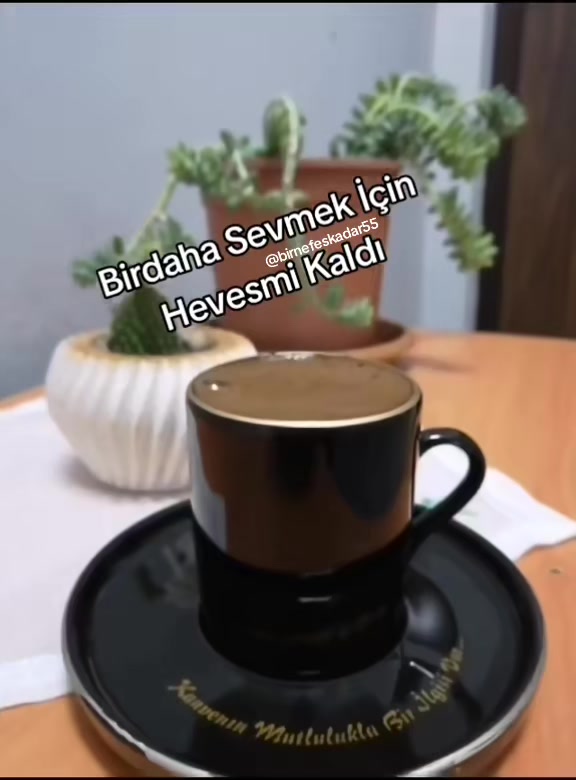 @birnefeskadar55