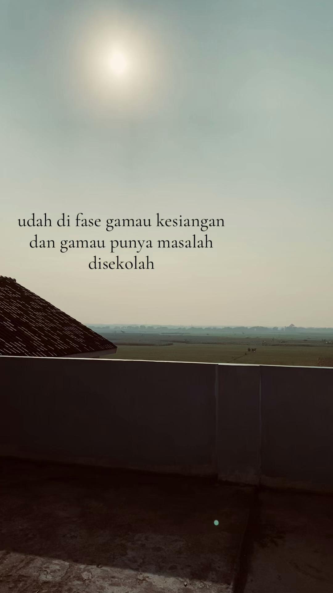 @X_TKRR BEE