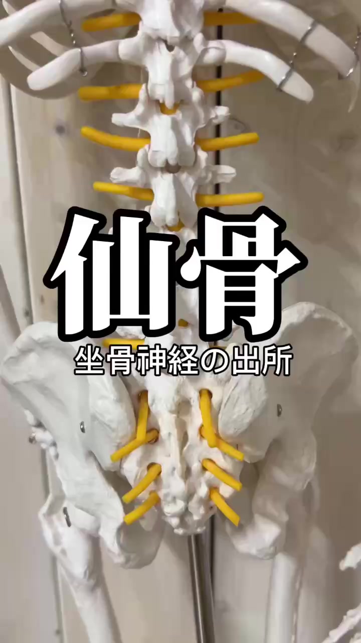 @天満パーソナルジムStage🔥