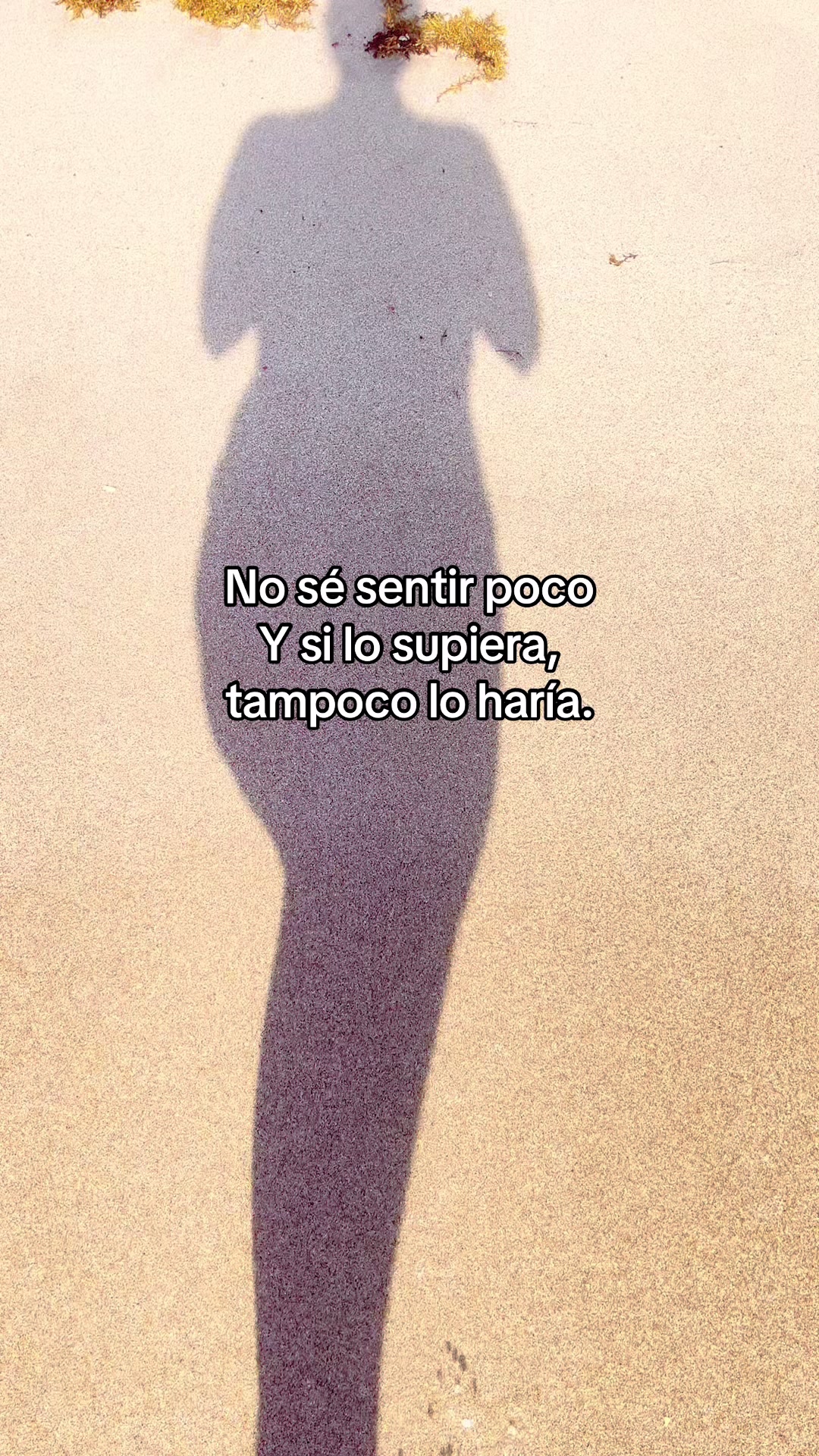 @Ɩıʑ ʄıɛཞཞơ