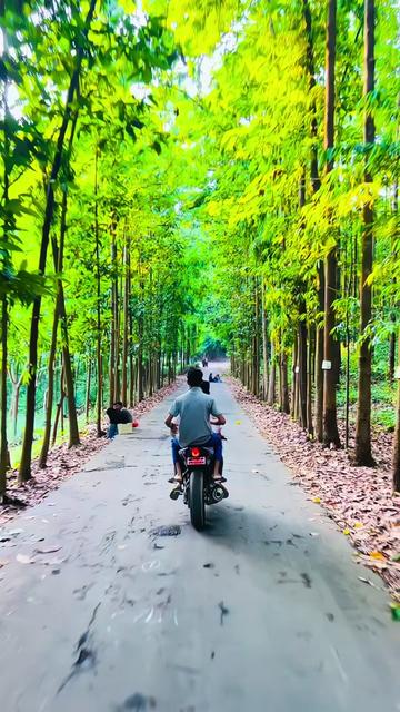 @M Asif Khan 🚩