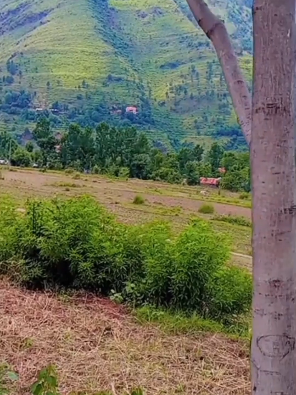 @Raja Iftikhar Khan