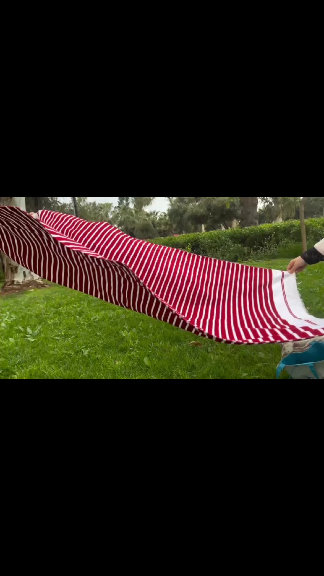@🌸 ۆرٍيَﮯداتْي🌸