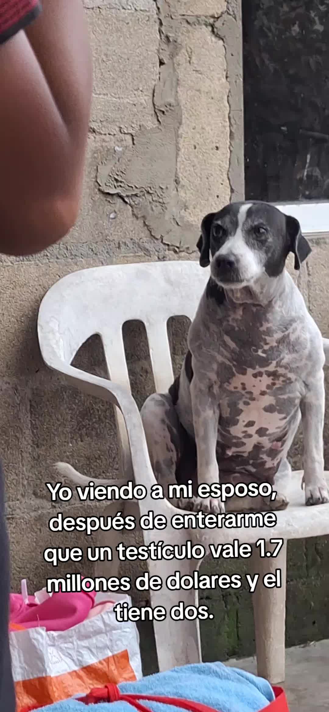 @MANCHAS 0714 OFICIAL