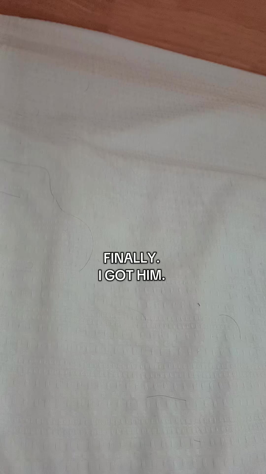 @worm