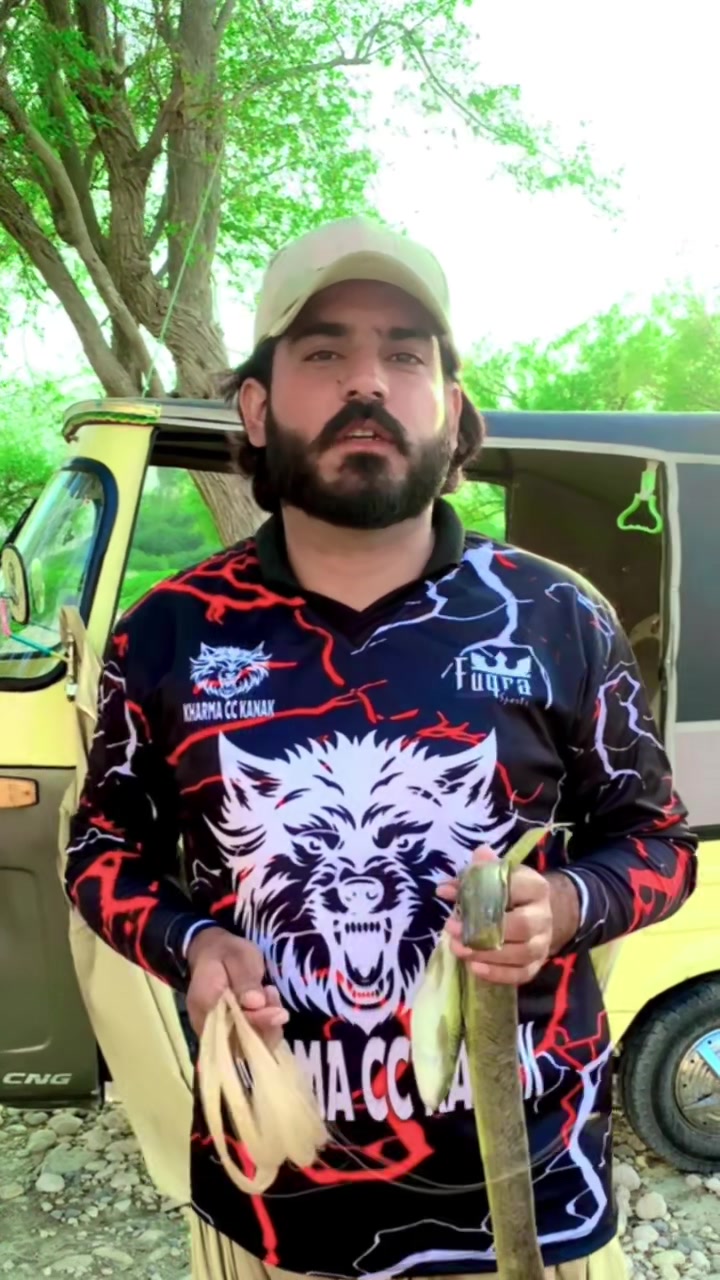 @Sarfaraz Raisani