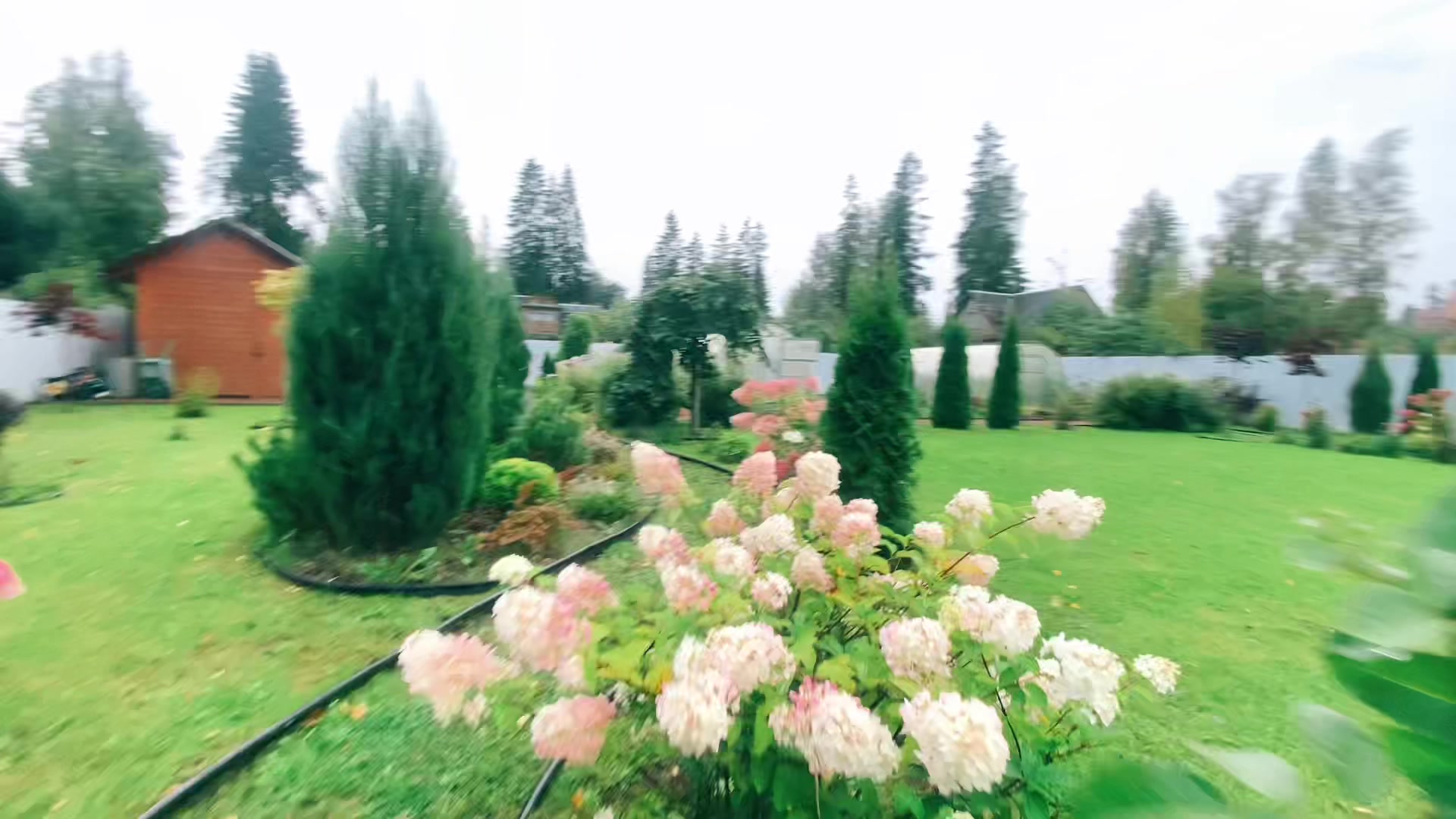 @TGK Ali__03