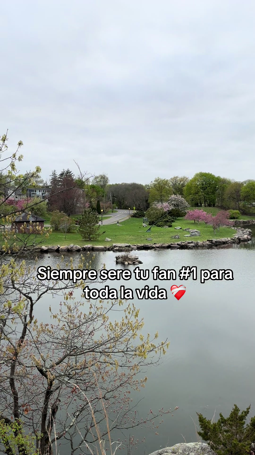 @Johan ☘️