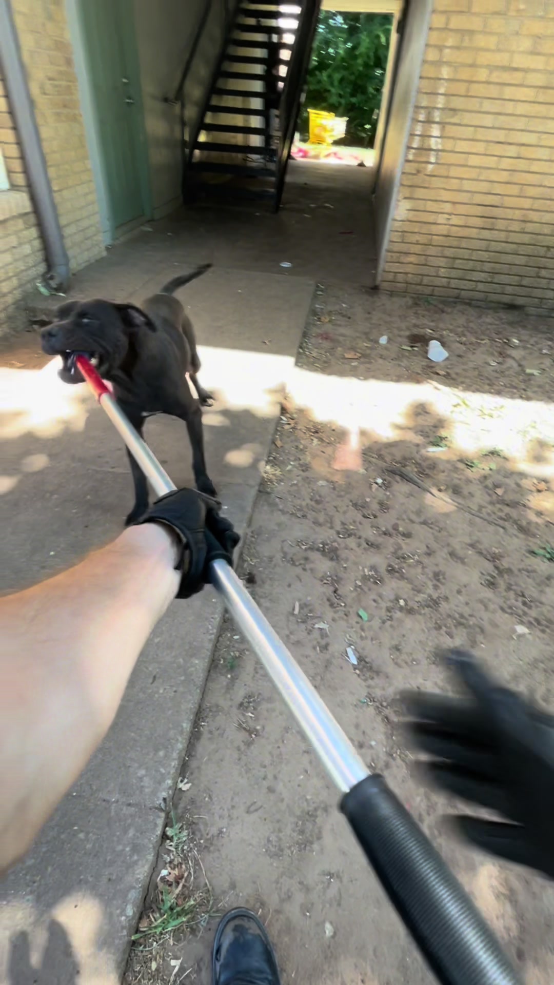 @AnimalWelfareGuy