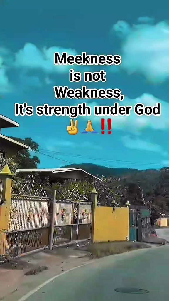 @Monk Moods